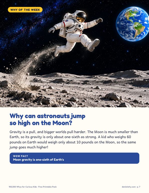 Why of the Week poster